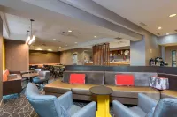 大激流城北萬豪SpringHill飯店 - 游泳池