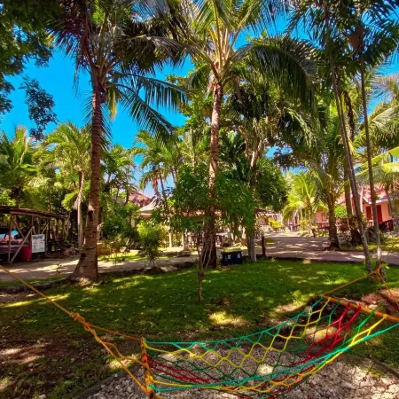 Coco Grove Nature Resort