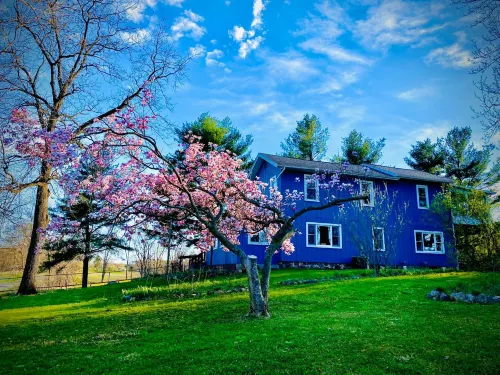 Inn Between the Lakes Hotels in Newberg Township