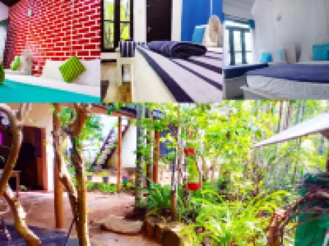 ウォーカーズ ネスト エッラのホテル