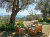 Holiday Park Olive Tree Hotels in Ulcinj