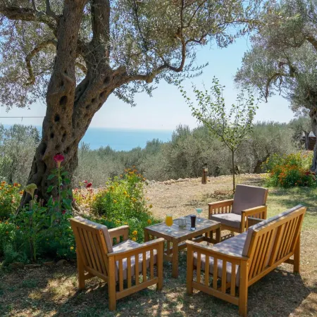 Holiday Park Olive Tree