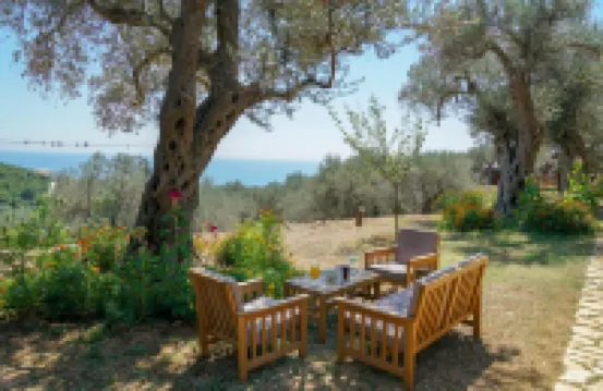 Holiday Park Olive Tree Hotels in 