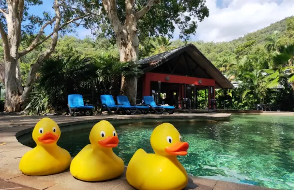 烏龜灣海灘度假村-限成人LGBTQIA 及友人