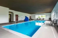 Comfort Inn & Suites Hotels in Glasgow