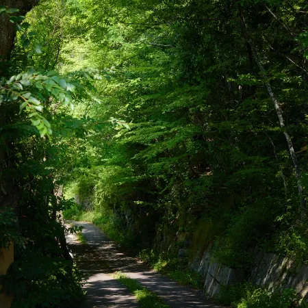 Nakadanaso