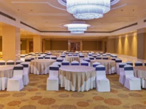 レモン ツリー プレミア パトナー パトナのホテル