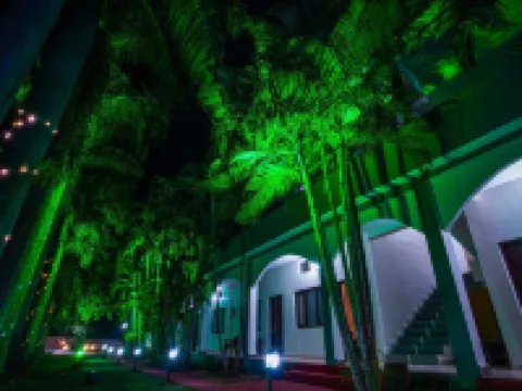 Hotel Jungle Palace Hotels in Tala