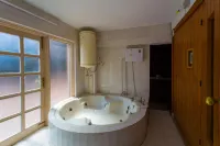 Toshali Royal View ,S H I M L A - Hot Springs
