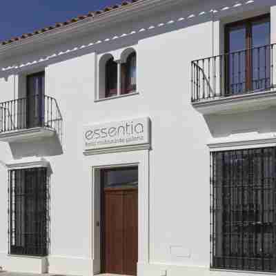 Hotel Galería Essentia Hotel Exterior