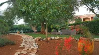 B&B All'Ombra Degli Ulivi - Bed and Breakfast