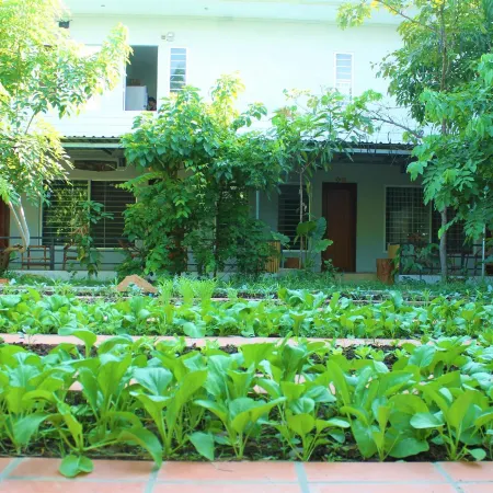 My Parents Guesthouse