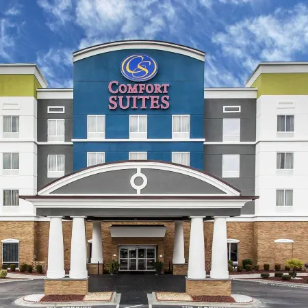 Comfort Suites Florence I-95