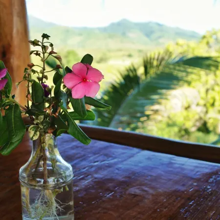 Erlittop Nature Lodge