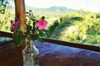 Erlittop Nature ลอดจ์ - วิวภูเขา