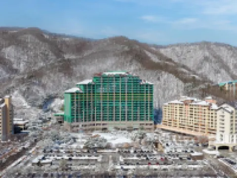 松乃卡姆維瓦爾第公園 洪川郡酒店