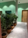 Chi Hieu Hotel