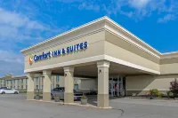 Comfort Inn & Suites Hotels in 
