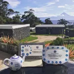 메이크 잇 해픈 팜