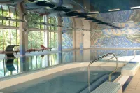 Falls Hotel & Spa - Pools