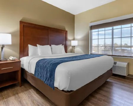 Comfort Inn & Suites High Point - Archdale Hotels in Archdale