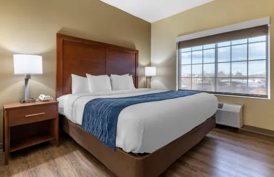 格林斯伯勒温斯頓塞勒姆高點麗怡酒店