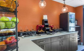Gallus Stadium Park Inn, Ascend Hotel Collection