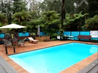 Woodlands Motel - piscine