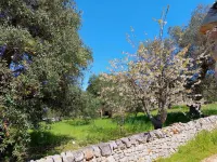 B&B la Rosa dei Trulli Alberobello