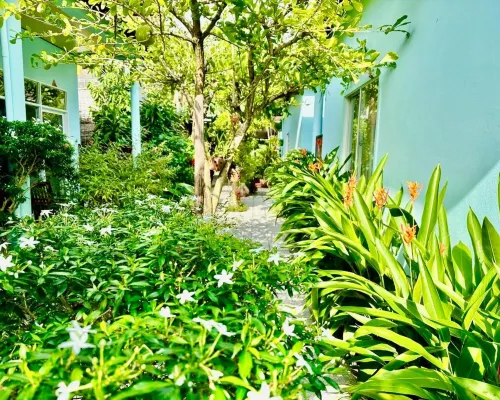 日光平房 房間 Photos