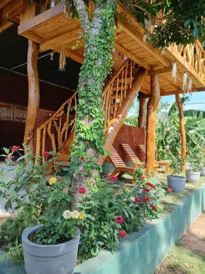 Lion Rock Haven Cabana - Bed and Breakfasts