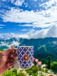 Fortune Park Kufri, Shimla - Member ITC Hotels' Group - pemandangan pegunungan