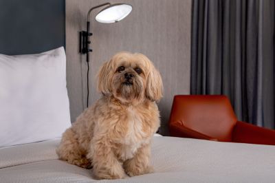 Other Courtyard Boston Marlborough Photo