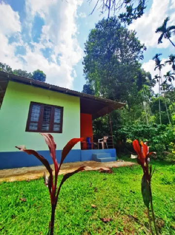 Darimane Homestay Hotels near Gorilla Gudda