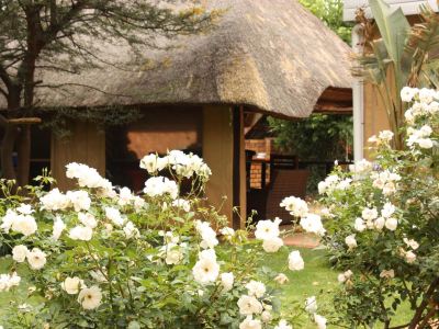 3 Brothers B&B