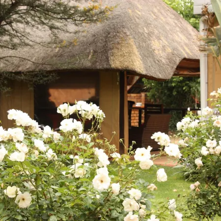 3 Brothers B&B
