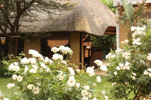3 Brothers B&B - Wifi