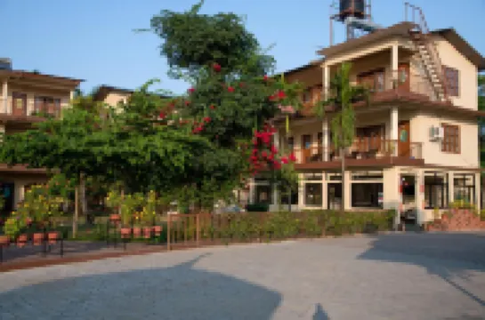 정글 와일드라이프 캠프