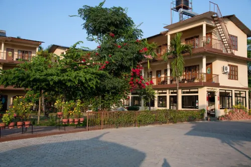 Jungle Wildlife Camp