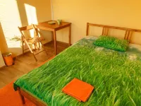 Velvet Mini Hotel ミアースのホテル
