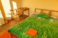 Velvet Mini Hotel - Pet friendly