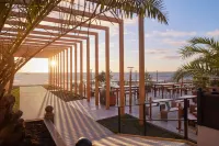 Mechta Hotel - Cho phép mang theo thú cưng