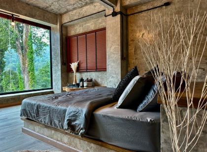 ไฮ แลนด์ ฟอเรสต์ วิว