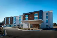 SpringHill Suites East Lansing University Area Michigan State University Horticultural Gardens附近的飯店