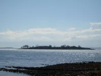 Four Seasons Waterfront Villas