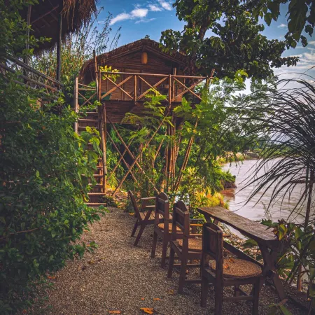 Happy Lemon Tree Lodge