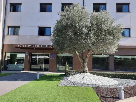 Hotel Pago del Olivo Отели в г. Монтес Торосос