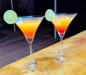 Rainbow Lodge - bar