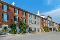 Comfort Inn Hotels in 