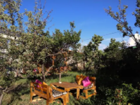 Esenin 1 Hostel & Bar Hotels in 